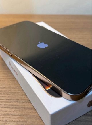 iPhone 16 Pro Max 256GB Dorado