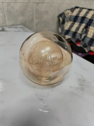 Tulipa de Lámpara de Techo
