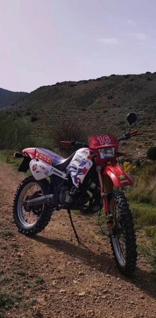 Derbi Senda R 50cc