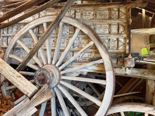 Carros de Vacas Antiguo de Madera Dos unidades.