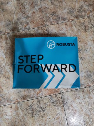 Zapatos de seguridad Robusta