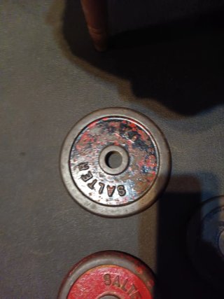 4 Discos de 5kg salter