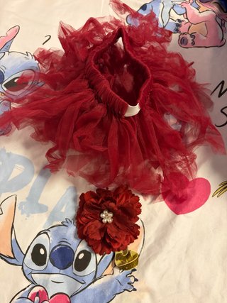 Tutú Rojo y Diadema de Flor