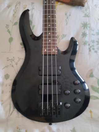 Bajo Rochester activo