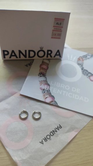 Pendientes de Aro Pandora Essence