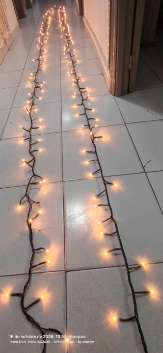 Guirnalda de Luces Navidad 10m