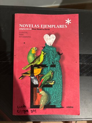 Novelas ejemplares Rosa Navarro Durán