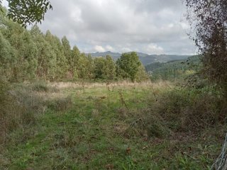 Alquiler de parcelas, único pago