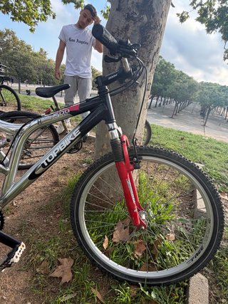 Bicicleta de Montaña Topbike