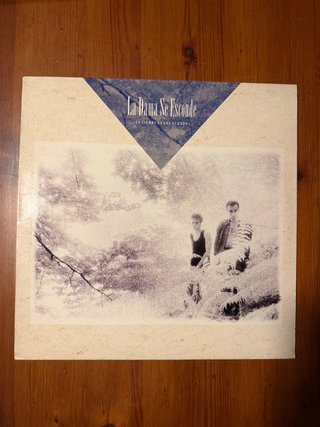 Vinilo La Dama Se Esconde - La Tierra de los Sueño