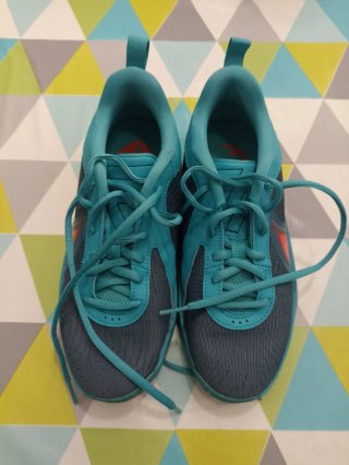 Zapatillas Baloncesto Nike