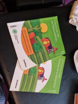 Ciencias de la Naturaleza, 6 Primaria, Proyecto...