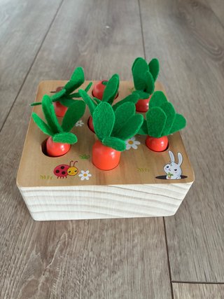 Juego de madera infantil de zanahorias