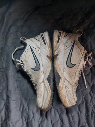 Zapatillas Nike Air Monarch IV