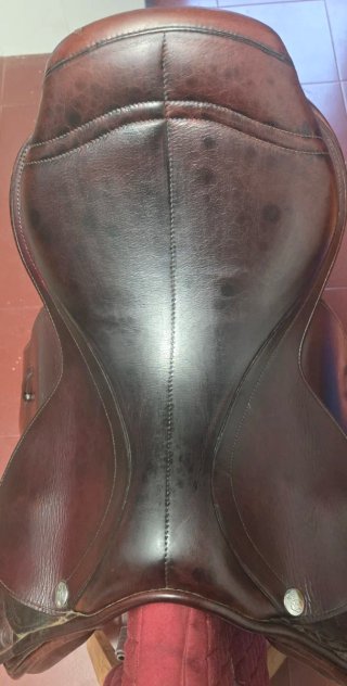 Silla de salto Zaldi Confort 17,5