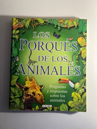 MARIPOSAS Y OTROS ANIMALITOS