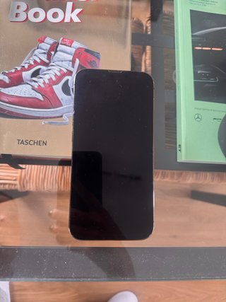 iPhone 13 Pro
