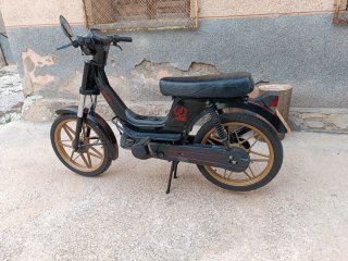 Derbi variant start
