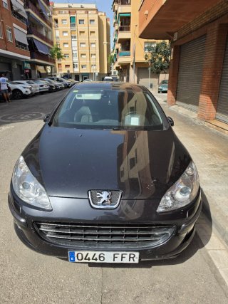Peugeot 407 2006 2.2 170CV 2006 LEER