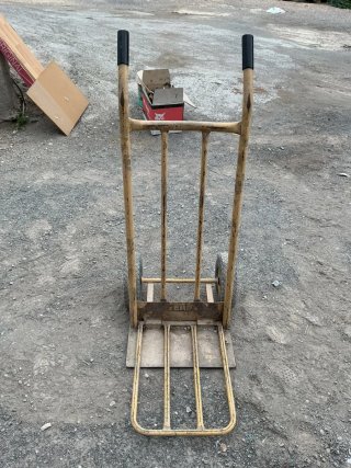 Carro transportador