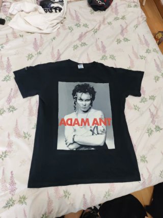 Camiseta Adam and the Ants