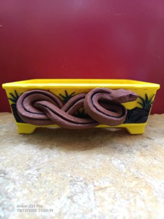Maceta para Bonsái con Relieve de Serpiente