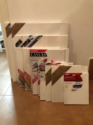 Pack de 8 lienzos de diferentes medidas