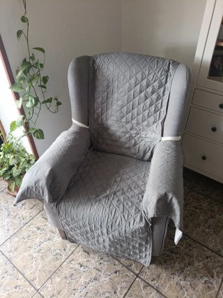 Sillón Orejero Gris