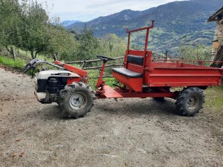Motocultor Antonio Carraro con Remolque