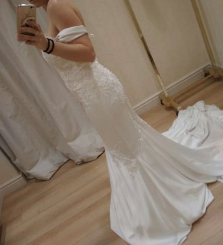 Vestido de novia Pronovias modelo Dante