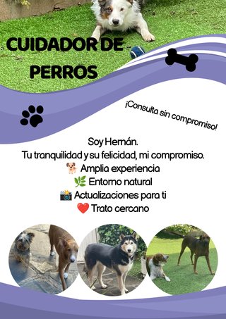 Cuidado de perros
