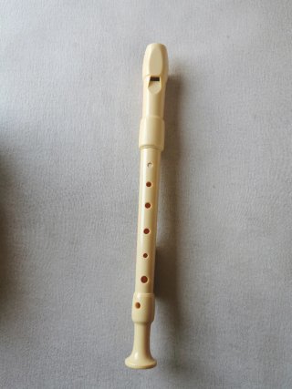 Flauta dulce con funda