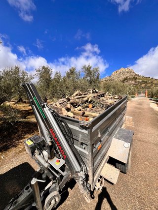 Leña de olivo seca