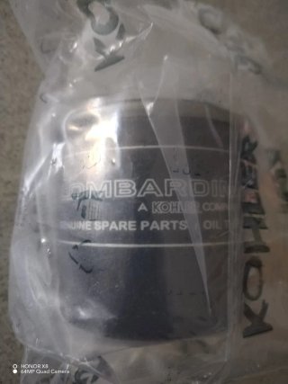 Filtro olio originale Lombardini Kohler per ligier