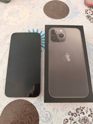 iPhone 13 Pro Max