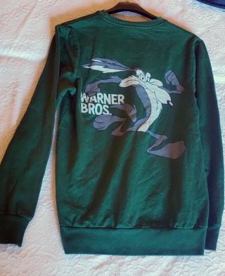 Felpa Warner Bros Verde Uomo, Taglia M
