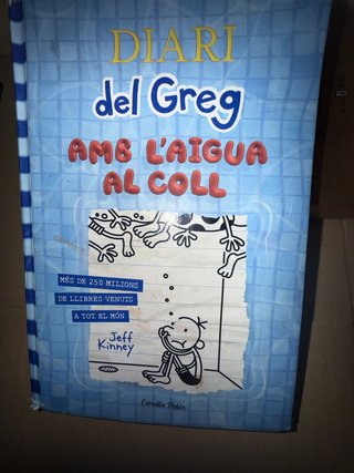 Diari del Greg 15 - Amb l'aigua al coll (català)