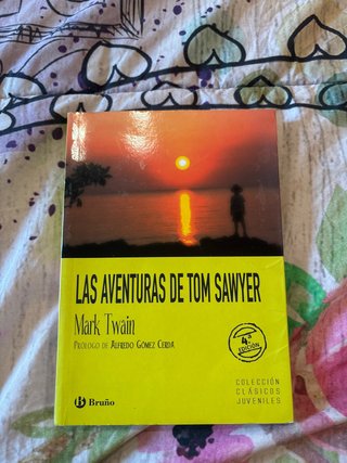 Las aventuras de Tom Sawyer