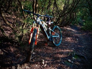 Bicicleta eléctrica Focus Sam2 6.9 Talla S