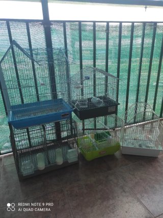 Lote de 6 jaulas para pájaros
