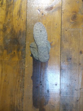 Zapatero antiguo de madera