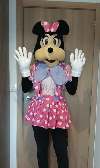Disfraz de Minnie Mouse