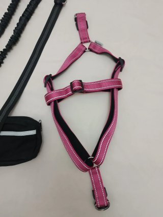 Arnés para Perro Ajustable Talla M-L. Miniriñonera