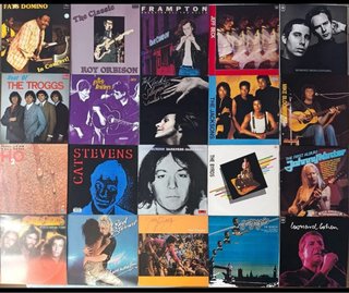 Lote de 20 Vinilos de Rock y Pop