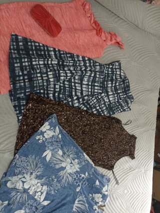 Lote de 10 prendas de ropa para mujer