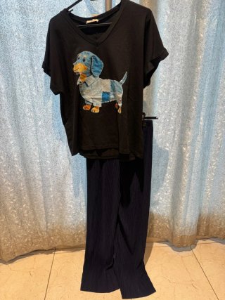 Conjunto Camiseta/Pantalón Plisado perro nuevo.