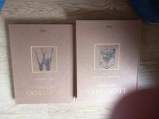 2 libros Leonardo Da Vinci y su biografía