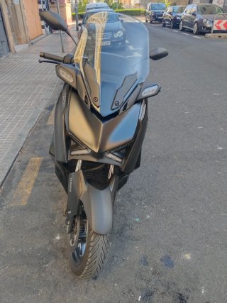 Yamaha Tech Max 300