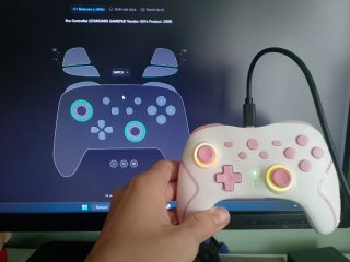 Mando Pro Controller para Nintendo Switch 1 o PC