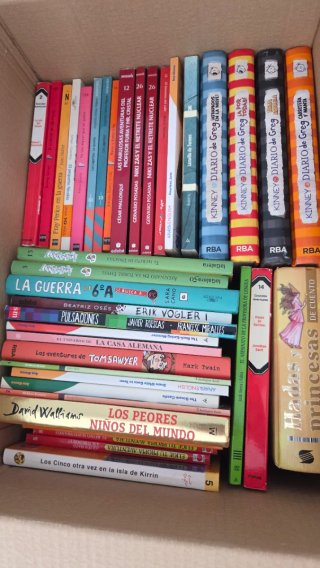 Lote libros juveniles e infantles de 8 a 16 años
